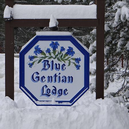 Blue Gentian Lodge At Magic Mountain Londonderry Dış mekan fotoğraf