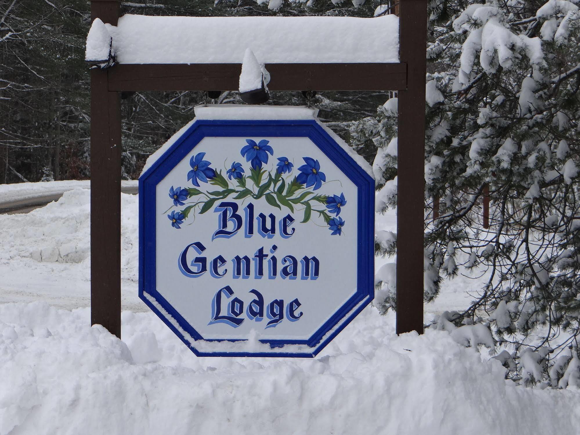 Blue Gentian Lodge At Magic Mountain Londonderry Dış mekan fotoğraf